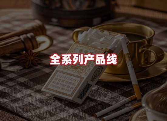 专业团队