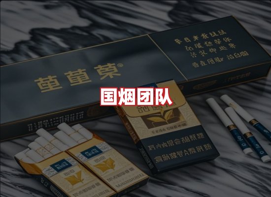 国烟团队